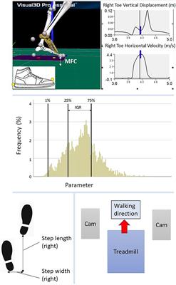 Biomechanical Correlates of Falls Risk in Gait Impaired Stroke Survivors